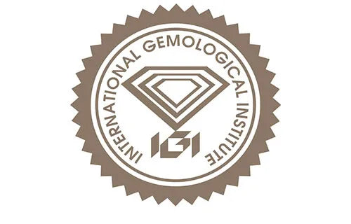 IGI Logo